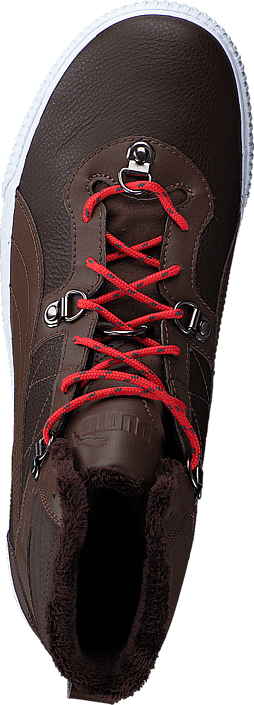 Puma - Tipton