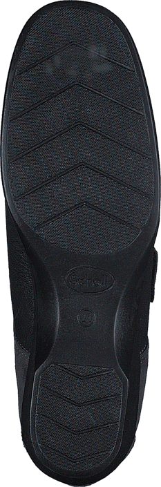 Scholl - Coira