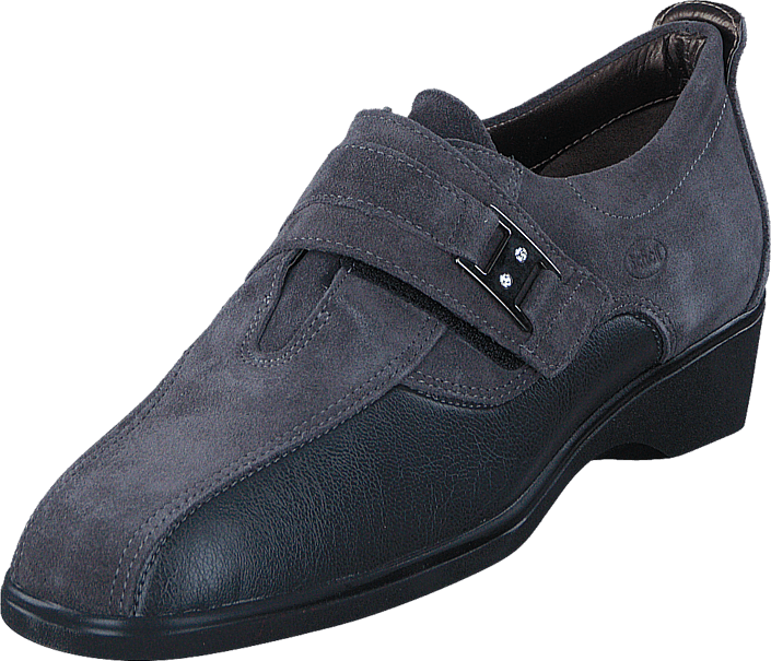Scholl - Coira
