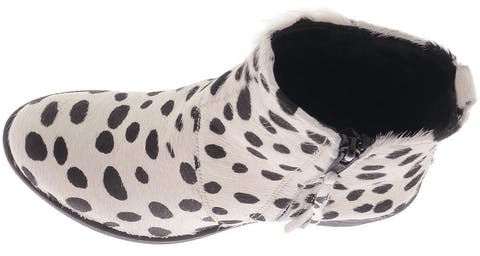 Shoe Shi Bar - Sally Dalmatin Zipper
