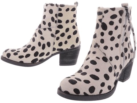 Shoe Shi Bar - Sally Dalmatin Zipper