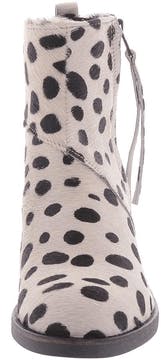 Shoe Shi Bar - Sally Dalmatin Zipper