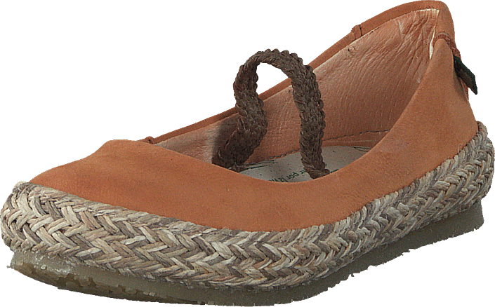 El Naturalista Kids - Andina (EU28-31)