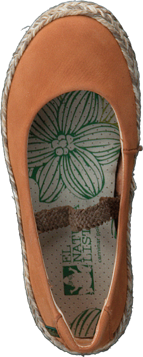 El Naturalista Kids - Andina (EU28-31)