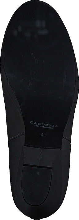 Gardenia - 1312700