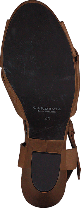 Gardenia - 1312021