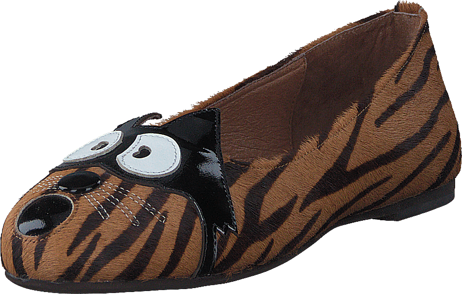 Cat shoe