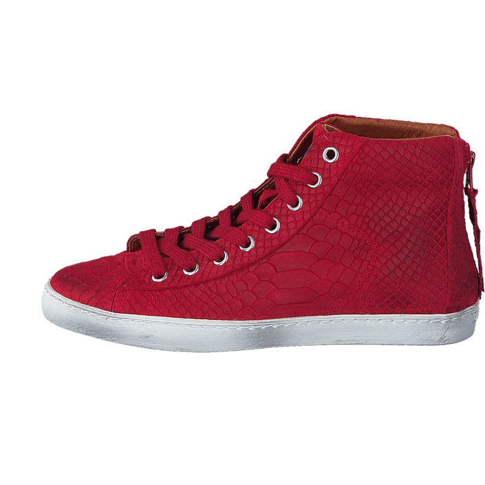 anaconda reef shoes