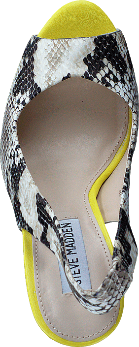 Steve Madden - Adin