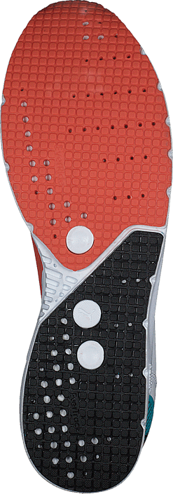 Puma - FUTURE TX-3
