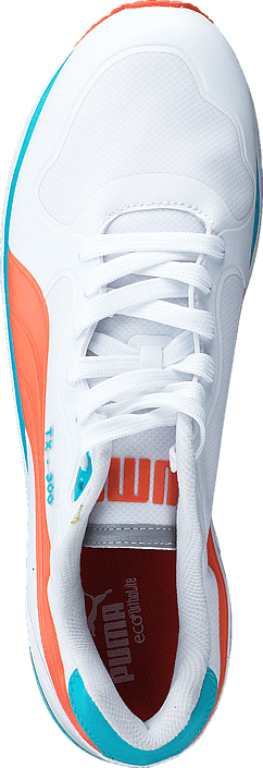 Puma - FUTURE TX-3