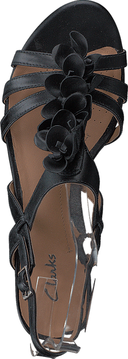 Clarks - Playful Gift