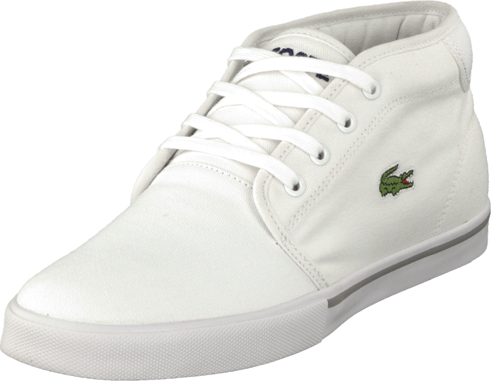 lacoste ampthill