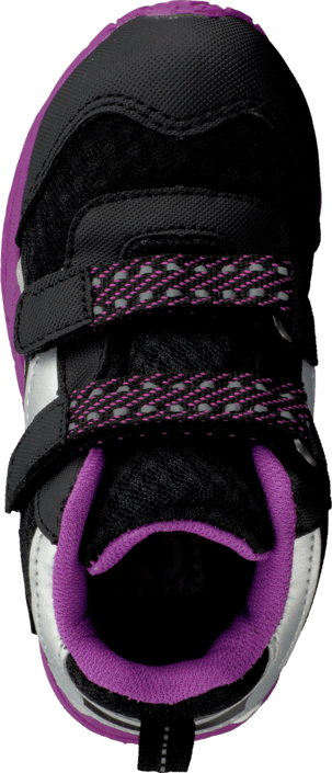 Pax - Spira Black/Purple