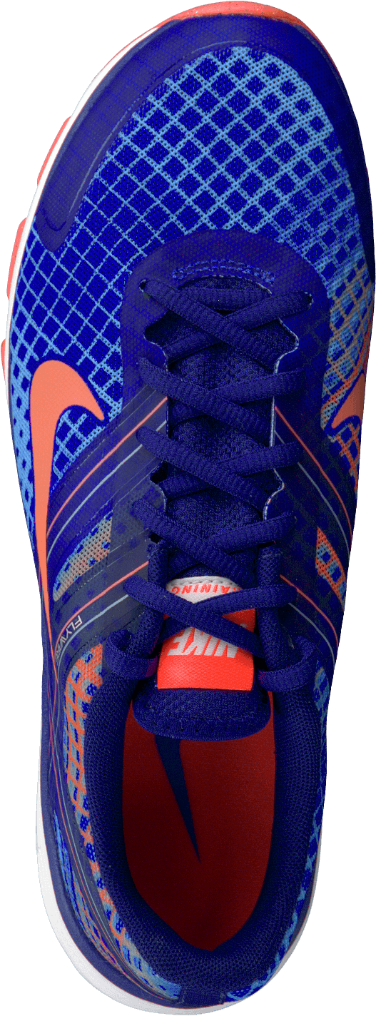 W Nike Dual Fusion Tr 2 Print Hypr Cblt/Brght Mng-Mrln-Chmbr