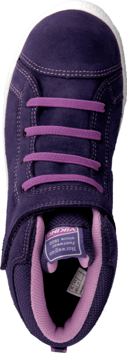 Viking - Falcon purple