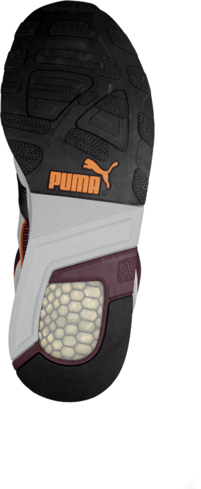 puma trinomic xt1 46