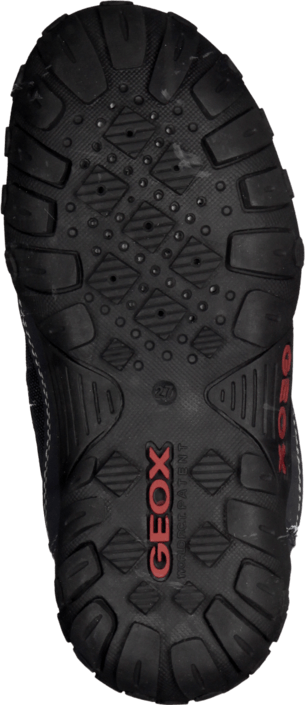 Geox - B Gulp B Boy Abx Dk Navy/Red