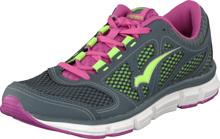 Bagheera - Vision Grey/Fuchsia