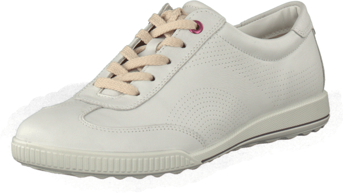 ecco crisp
