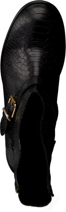 Billi Bi - Black 982 Anaconda/Gold 302 V Black/Gold