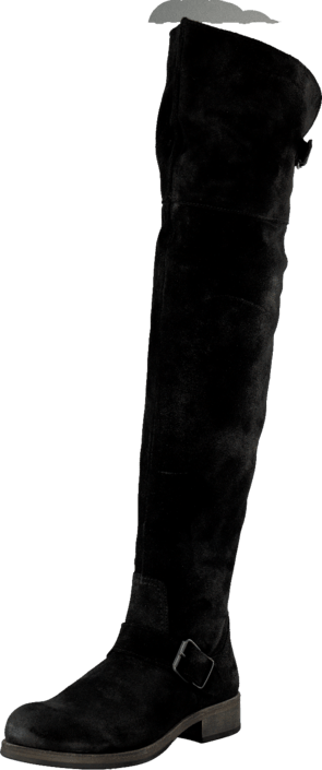 Billi Bi - Black Suede 50 Black