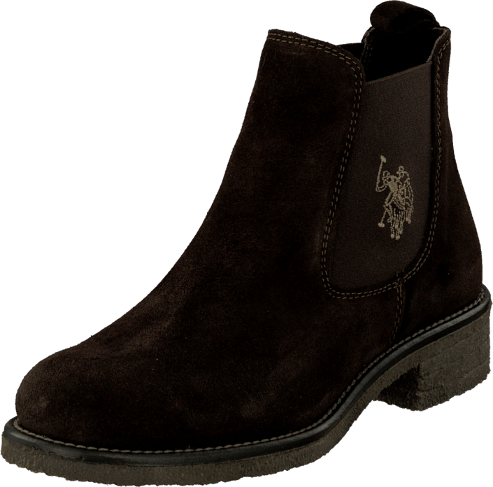 U.S. Polo Assn - Faris 1 Suede Dark Brown