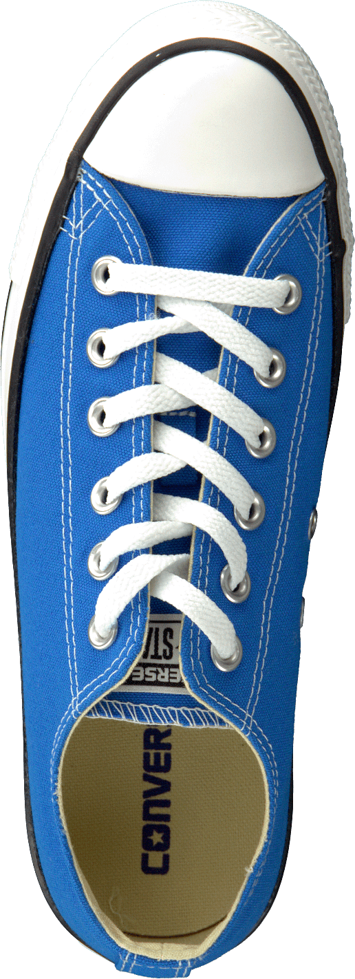 All Star Ox Electric Blue