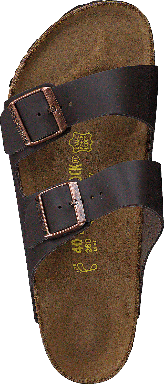 Arizona Regular Leather Dark Brown