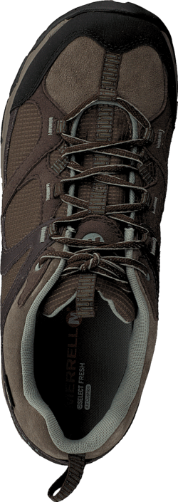 Merrell - Daria Gtx Espresso/Mineral