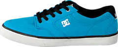 DC Shoes - Kids Nyjah Vulc Tx  Shoe Turquoise/Black