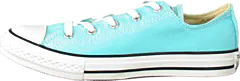 Converse - Chuck Taylor All Star Kids Ox Seasonal Poolside
