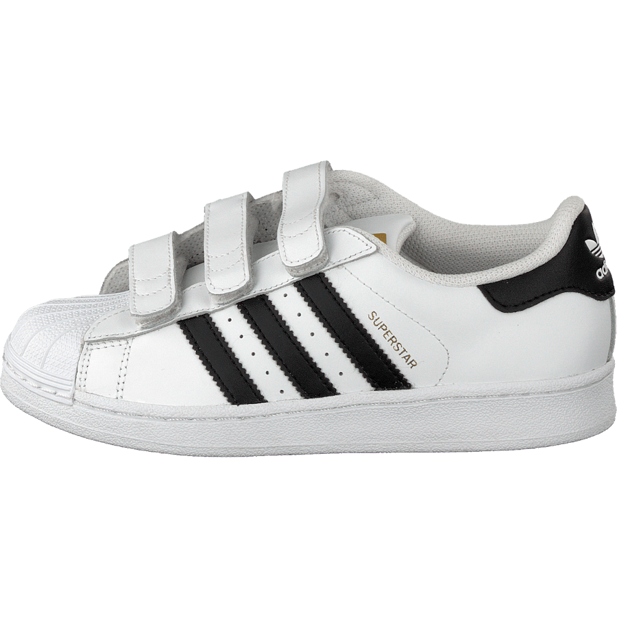 Superstar Foundation Cf C White/Black