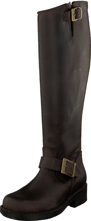 Johnny Bulls - High Zip Back Brown/Gold