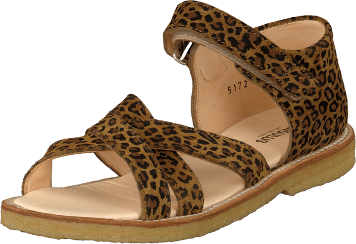 Angulus - 5172-101 Leopard