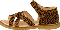 Angulus - 5172-101 Leopard