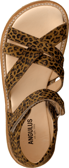 Angulus - 5172-101 Leopard