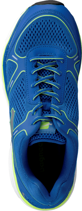 Bagheera - AEX C75 Royal/Lime