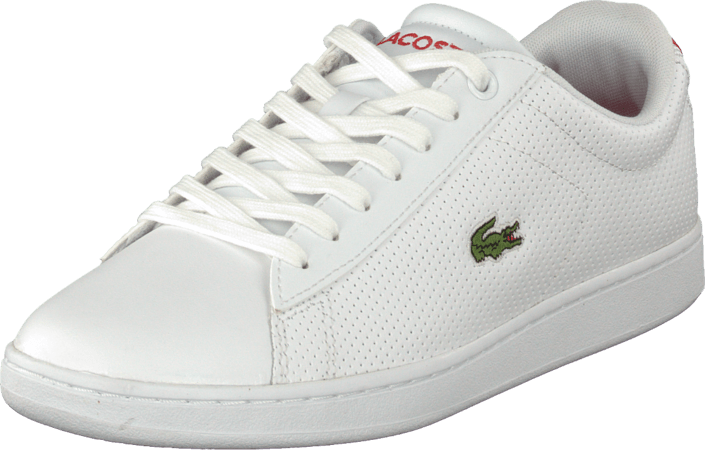 lacoste carnaby evo nte