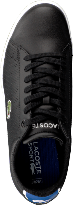 lacoste carnaby evo nte