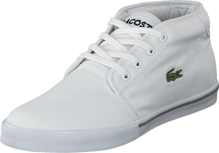 chaussure lacoste ampthill