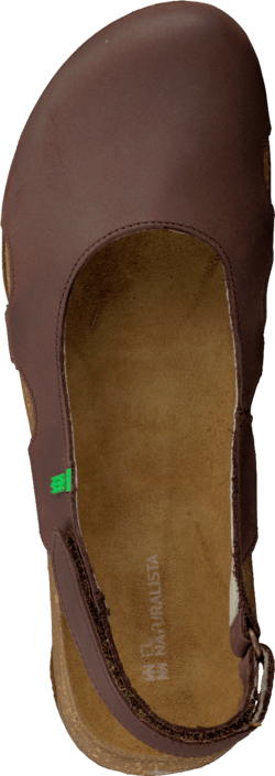 El Naturalista - Wakataua N413 Brown