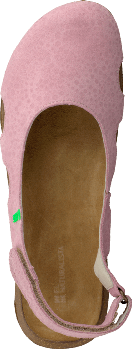 El Naturalista - Wakataua N414 Pink