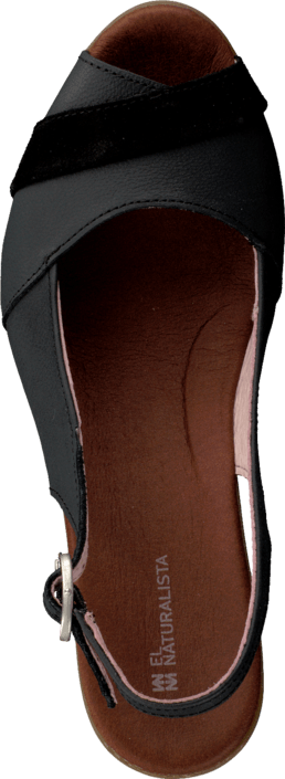 El Naturalista - Espiral N581 Black
