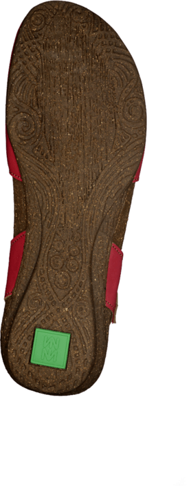 El Naturalista - Wakataua ND71 Red
