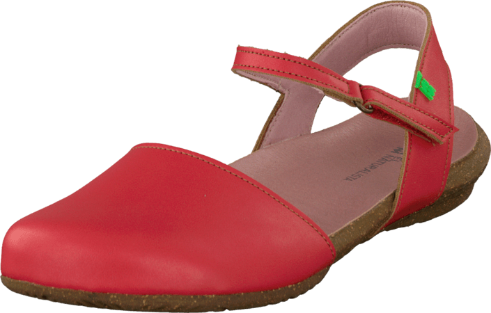El Naturalista - Wakataua ND71 Red