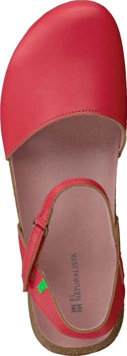 El Naturalista - Wakataua ND71 Red