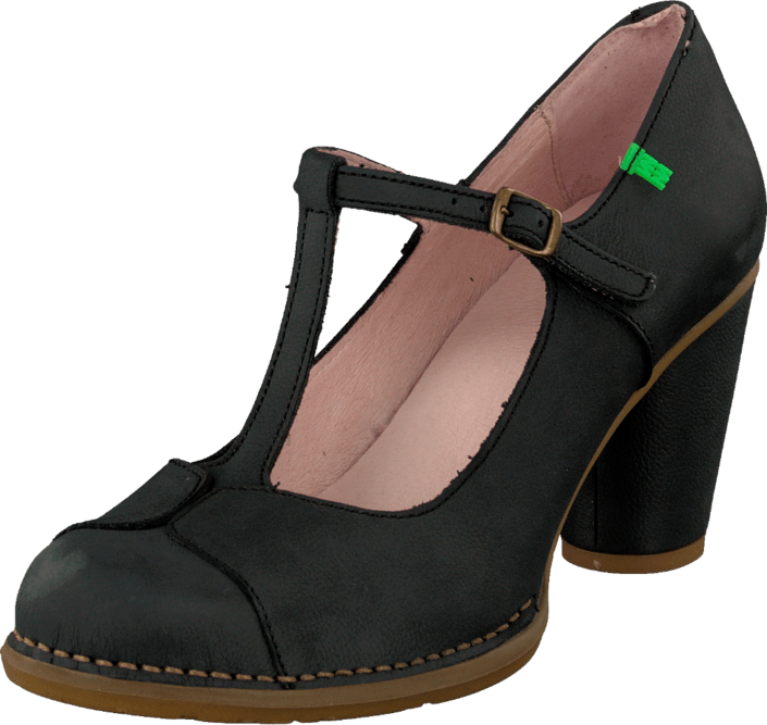 El Naturalista - Colibri N474 Acai