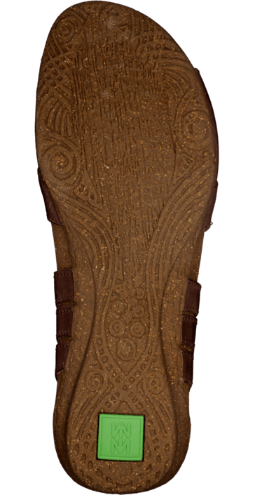 El Naturalista - Wakataua N448 Brown