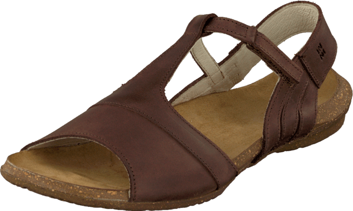 El Naturalista - Wakataua N448 Brown